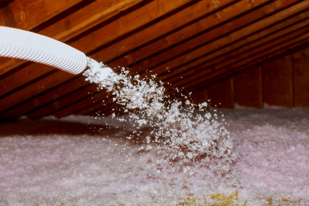 Types of Insulation We Offer in Angustura, NM