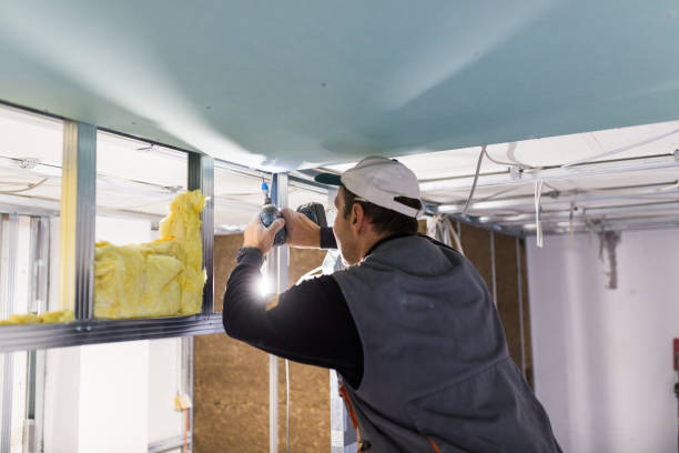 Best Spray Foam Insulation in Angustura, NM